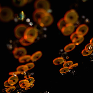 Espace en Perspective