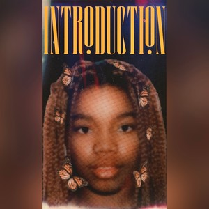 Introduction (Explicit)