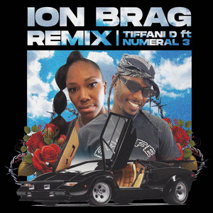 Ion Brag (Remix)