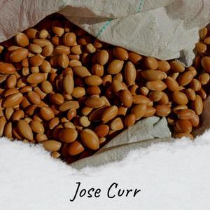 Jose Curr