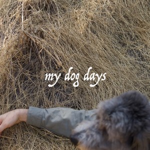 My Dog Days