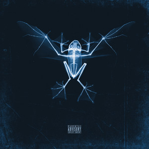 PELLEOSSA (Explicit)