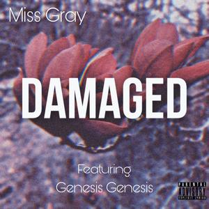 Damaged (feat. Genesis Genesis) [Explicit]