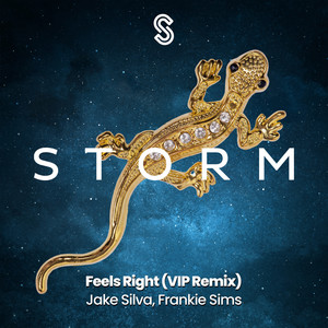 Feels Right (Extended Mix|VIP Remix)