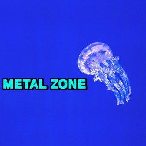 Metal Zone