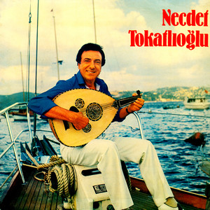 Bir Gönül Vardı Bende