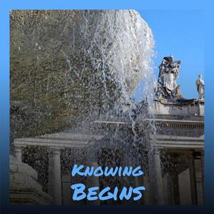 Knowing Begins