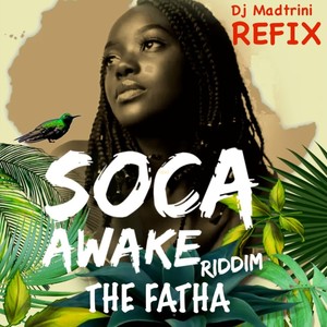 Calypso Nice(DJ Mad Trini Refix)