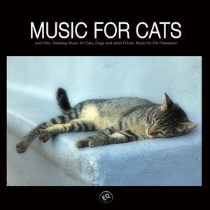 Music for Cats