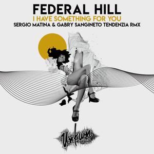 I Have Something for You (feat. Karen Daughtry) (Sergio Matina & Gabry Sangineto Tendenzia Remix)