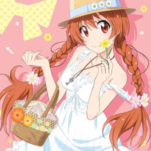はなごのみ (嗜花)