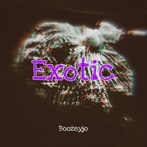 Exotic (Explicit)