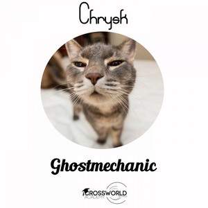 Ghostmechanic