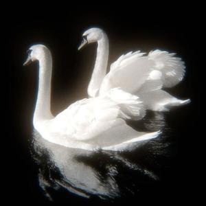 What You Saying (Slowed)