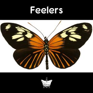 Feelers