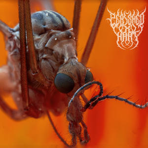 DELUSIONS OF GRANDEUR (Explicit)