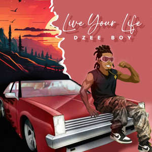 Dzee Boy - Live Your Life