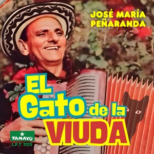 El gato de la viuda