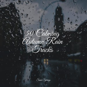 50 Calming Autumn Rain Tracks