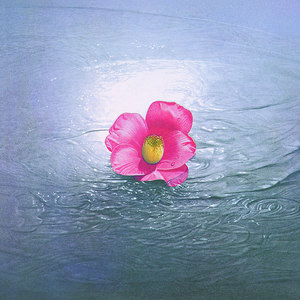 きょうだい心中