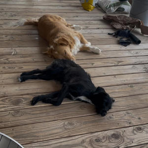 Tear it Up (Explicit)