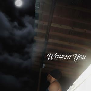 Without You (feat. meZo)