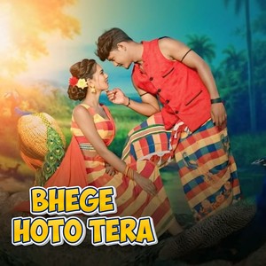 Bhege Hoto Tera