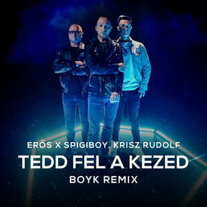 Tedd fel a kezed (Boyk Remix Radio Edit)
