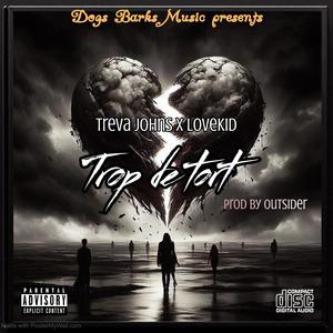 Trop de tort (feat. Lovekid & Treva Johns) (Explicit)