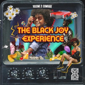 The Black Joy Experience, Vol. 2: Comrade (Explicit)