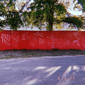 Feeling Whitney (Explicit)