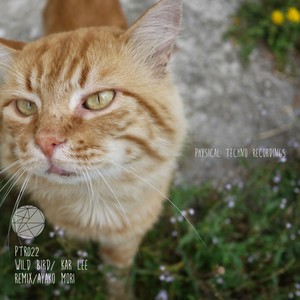 Magnetic Spring (Original Mix)