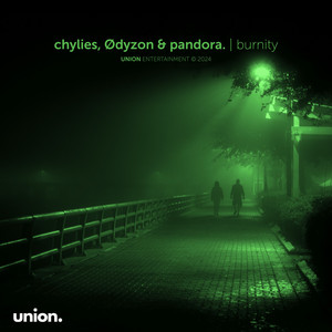 burnity (slowed & reverb)