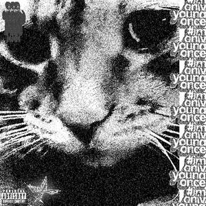 CRÈME BRÛLÉE (Explicit)