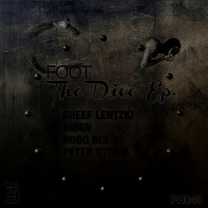 The Dive (Sheef Lentzki Remix)
