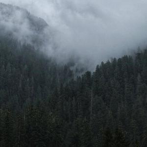 crooked smile (chaosysl) #twilight (Explicit)