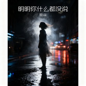 明明你什么都没说