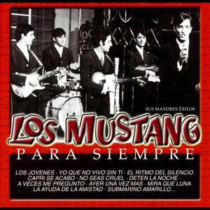 El Ritmo del Silencio