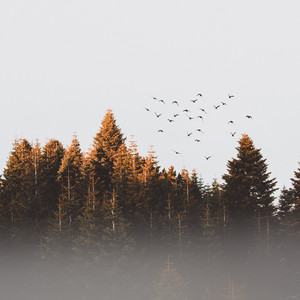 Drifting