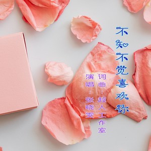 不知不觉喜欢你