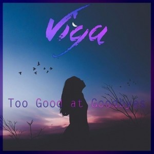 Too Good At Goodbyes (Viga Remix)