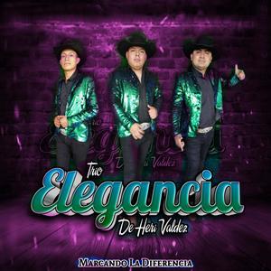 Acurrucar(feat. Trio Elegancia D Heri Valdez)