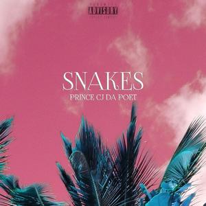 SNAKES (Explicit)