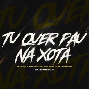 Tu Quer Pau Na Xota (Explicit)