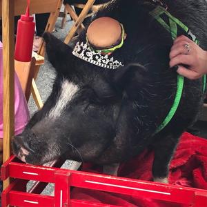 without u (feat. Fatbackbastard) (Explicit)