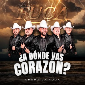 ¿A dónde vas corazón?