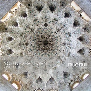 Soul Adjustments (Original Mix)