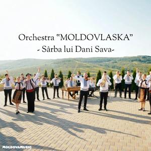 Sarba lui Dani Sava