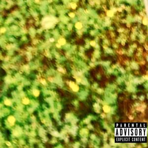 the forest tape (Explicit)