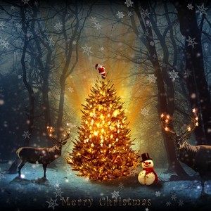 Believe in the Magic of Christmas